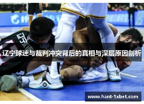 辽宁球迷与裁判冲突背后的真相与深层原因剖析 辽宁球迷与裁判冲突背后的真相与深层原因剖析