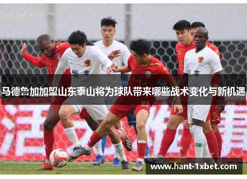 马德鲁加加盟山东泰山将为球队带来哪些战术变化与新机遇