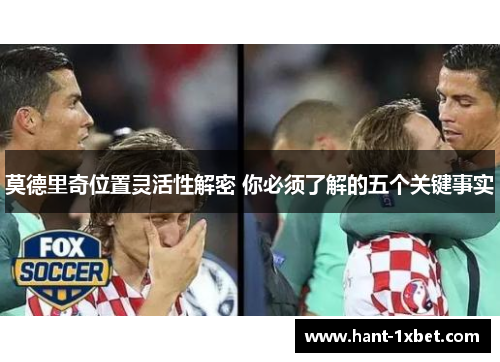 莫德里奇位置灵活性解密 你必须了解的五个关键事实