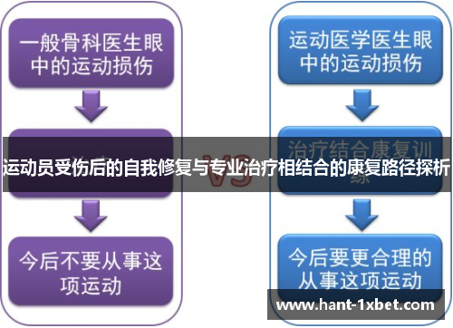 运动员受伤后的自我修复与专业治疗相结合的康复路径探析