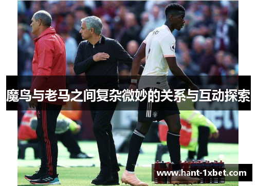 魔鸟与老马之间复杂微妙的关系与互动探索 魔鸟与老马之间复杂微妙的关系与互动探索